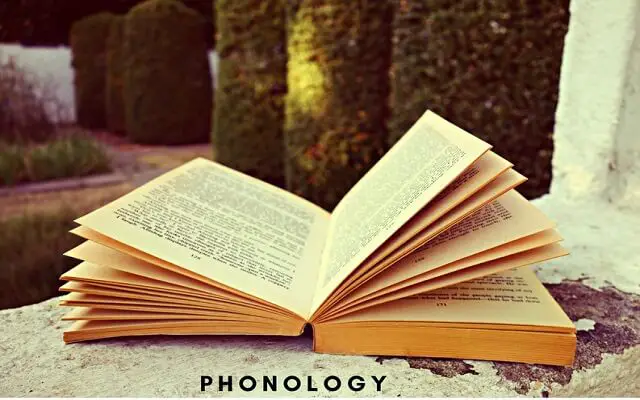 Definition of Phonology in linguistics