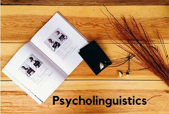 What is Psycholinguistics?
