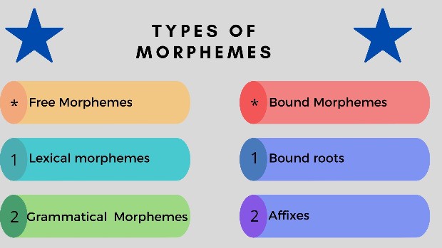 Types of Morphemes | Definition and Examples | English Finders