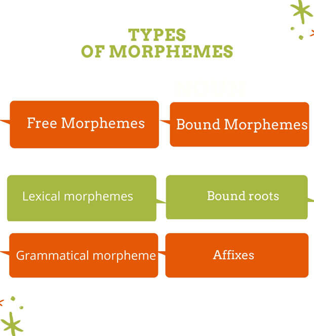 Morpheme Definition Types And Examples English Finders
