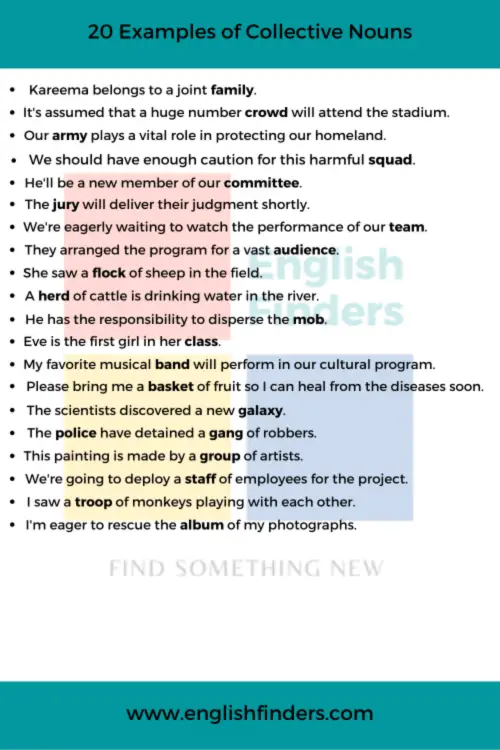 20 Examples of Collective Nouns