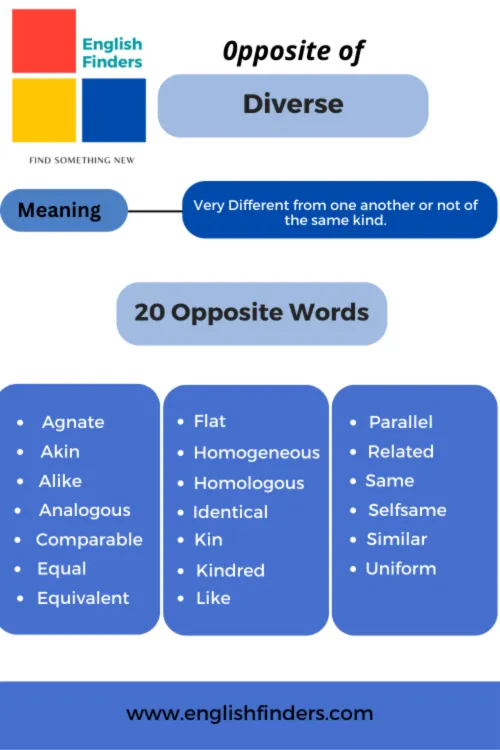 20 opposite of diverse with Meaning and Examples