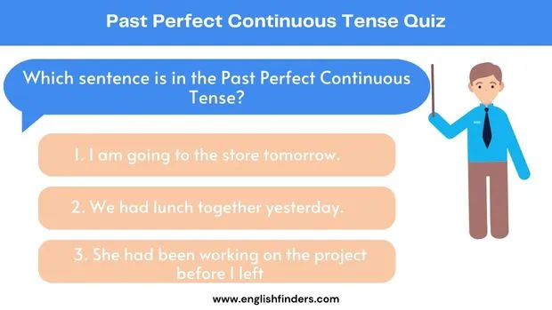Past Perfect Continuous Tense Quiz