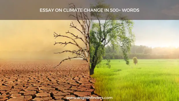 climate change essay 500 words brainly