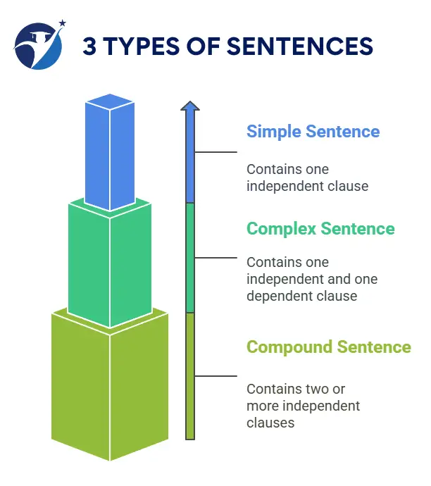 3 Types of Sentences Infographic
