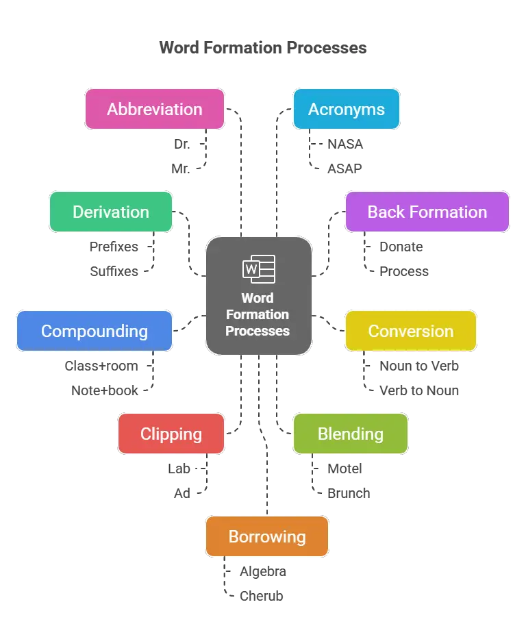 9 Word Formation Processes - visual selection