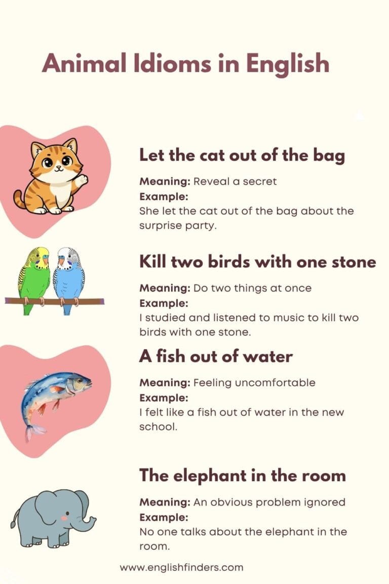 Illustration of animal idioms explained
