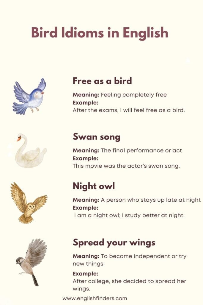Bird Idioms in English