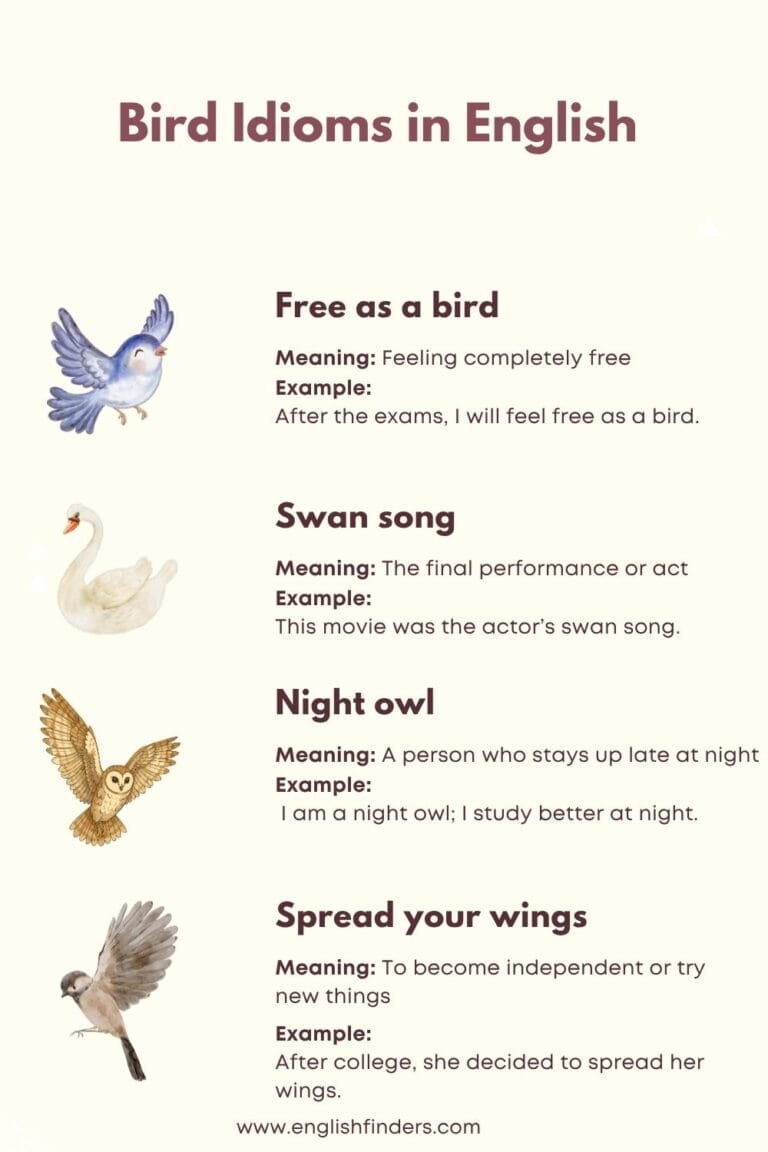 Bird Idioms in English